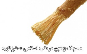 مسواک زیتون در طب اسلامی طرز تهیه